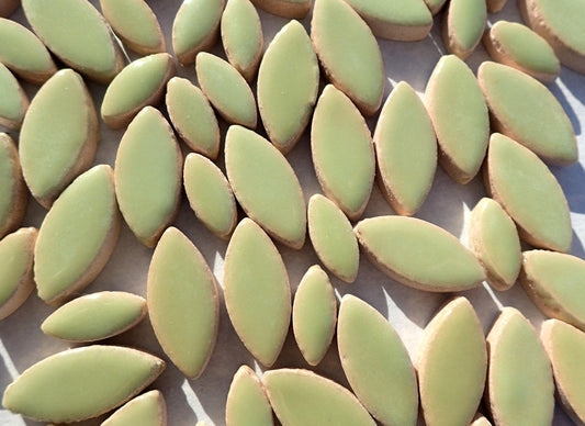 Pistachio Green Petals Mosaic Tiles - 50g Ceramic Leaves in Mix of 2 Sizes 1/2" and 3/4" - Muted Peppermint Green