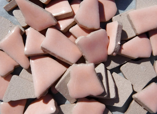 Pale Pink Mosaic Ceramic Tiles - Jigsaw Puzzle Shaped Pieces - Half Pound - Assorted Sizes Random Shapes