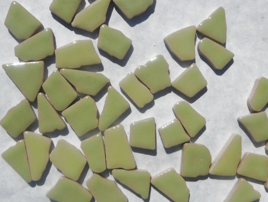 Pistachio Green Mosaic Ceramic Tiles - Jigsaw Puzzle Shaped Pieces - Half Pound - Assorted Sizes Random Shapes in Peppermint